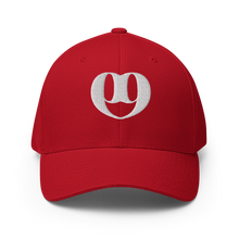 Load image into Gallery viewer, ULGND Logo Flex-Fit Hat