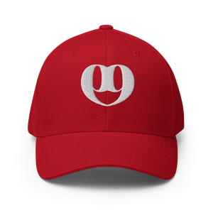 ULGND Logo Flex-Fit Hat